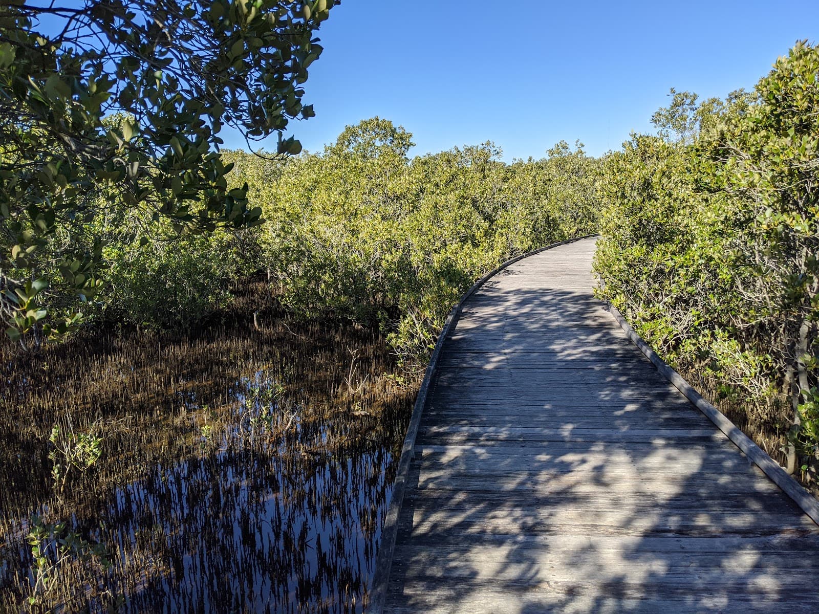 Hunter Wetlands National Park — Pokolbin, Newcastle