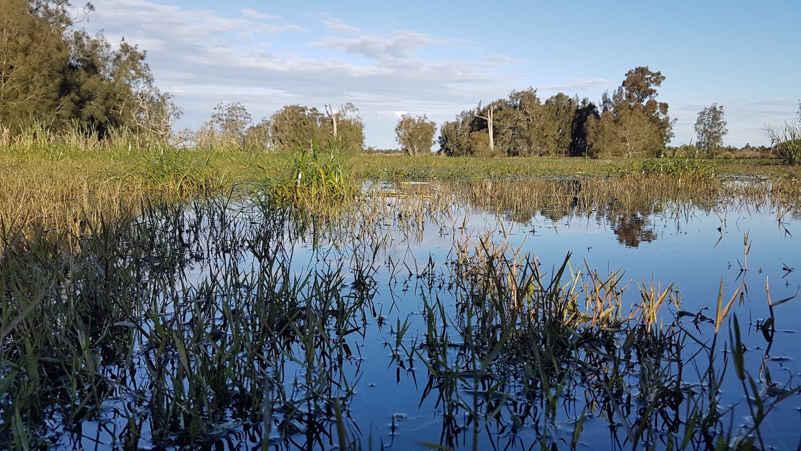 Hunter Wetlands National Park — Tomago, Newcastle