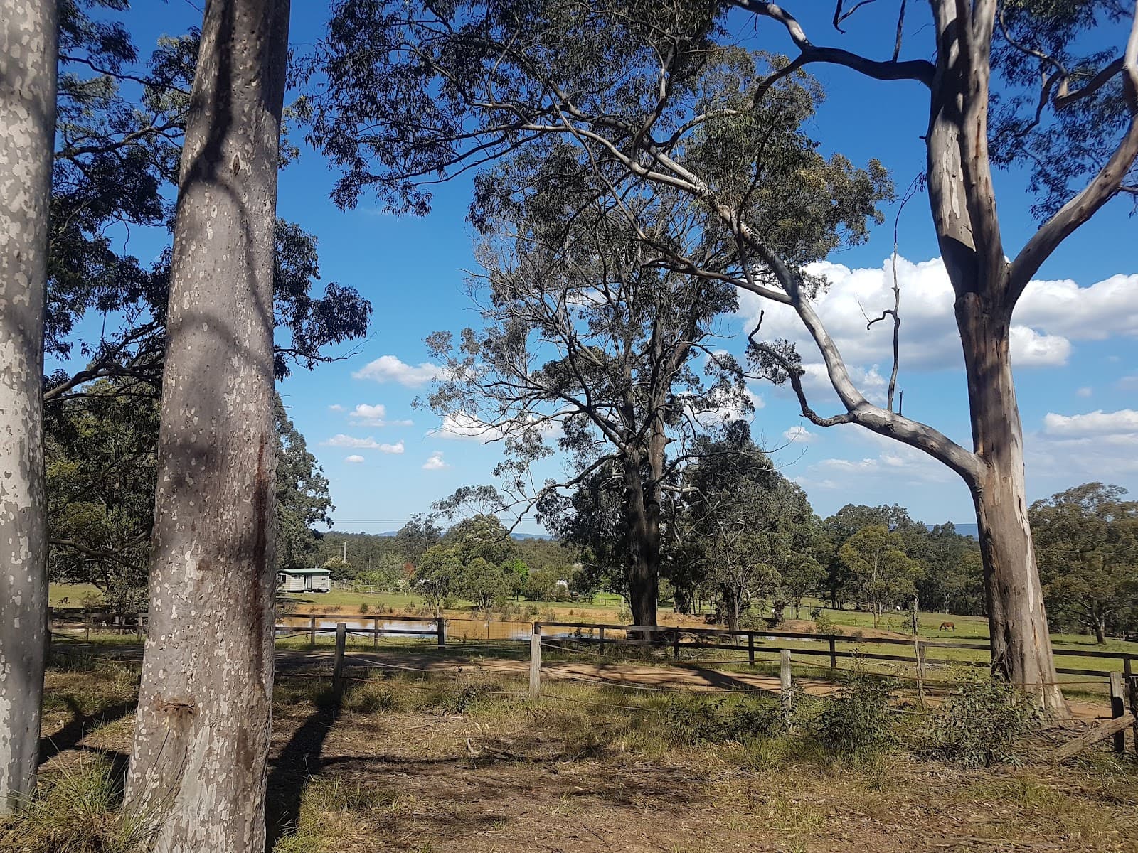 Werakata National Park — Pokolbin, Newcastle