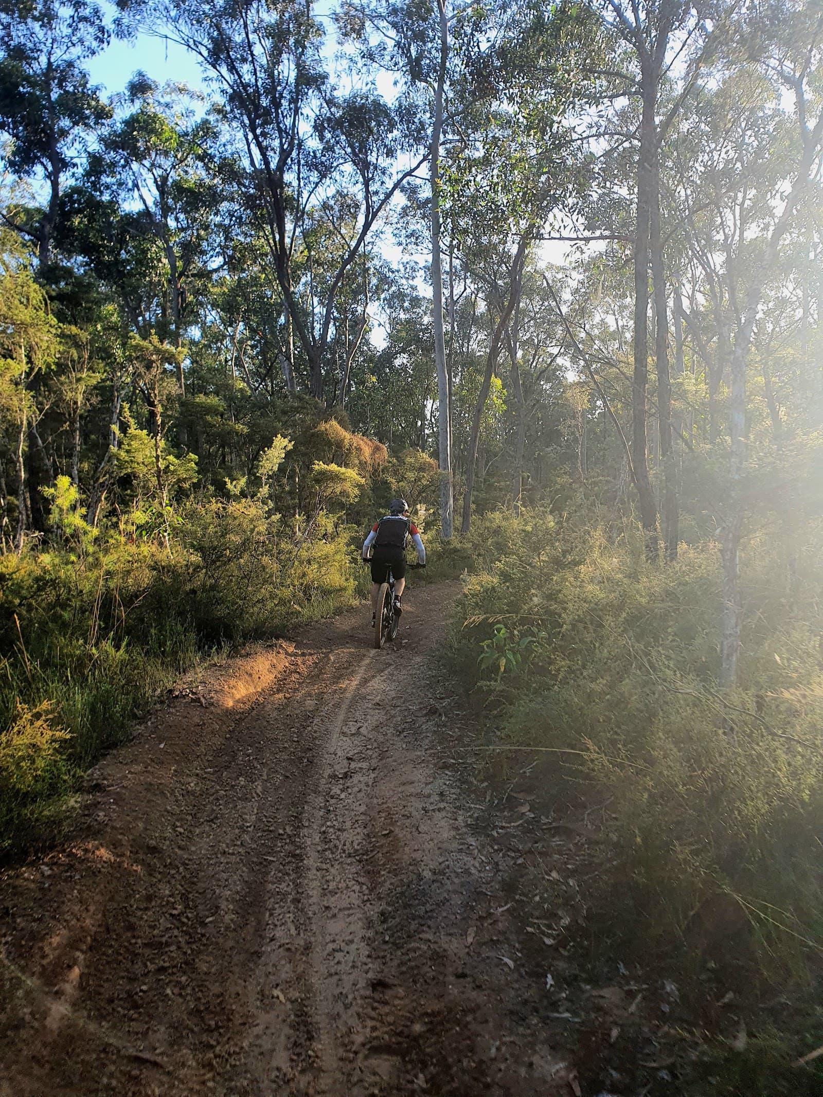 Werakata National Park — Lovedale, Newcastle