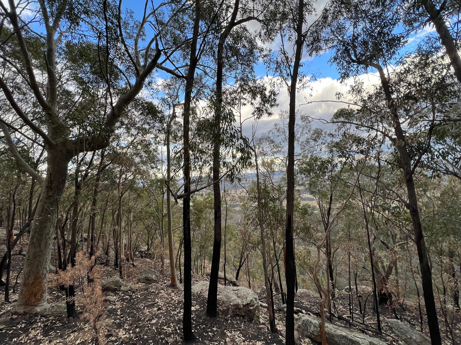 Pokolbin Lookout — Pokolbin, Newcastle