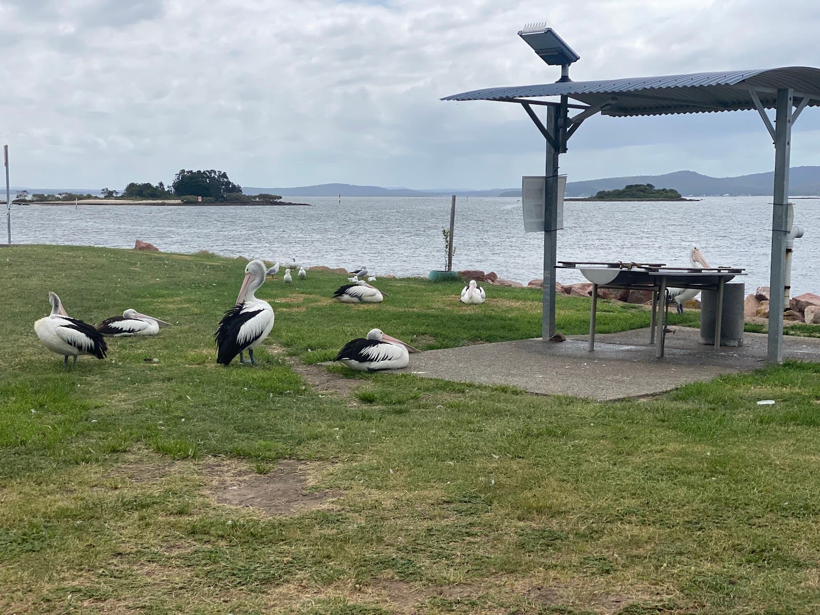 Port Stephens - Great Lakes Marine Park — Nelson Bay, Newcastle