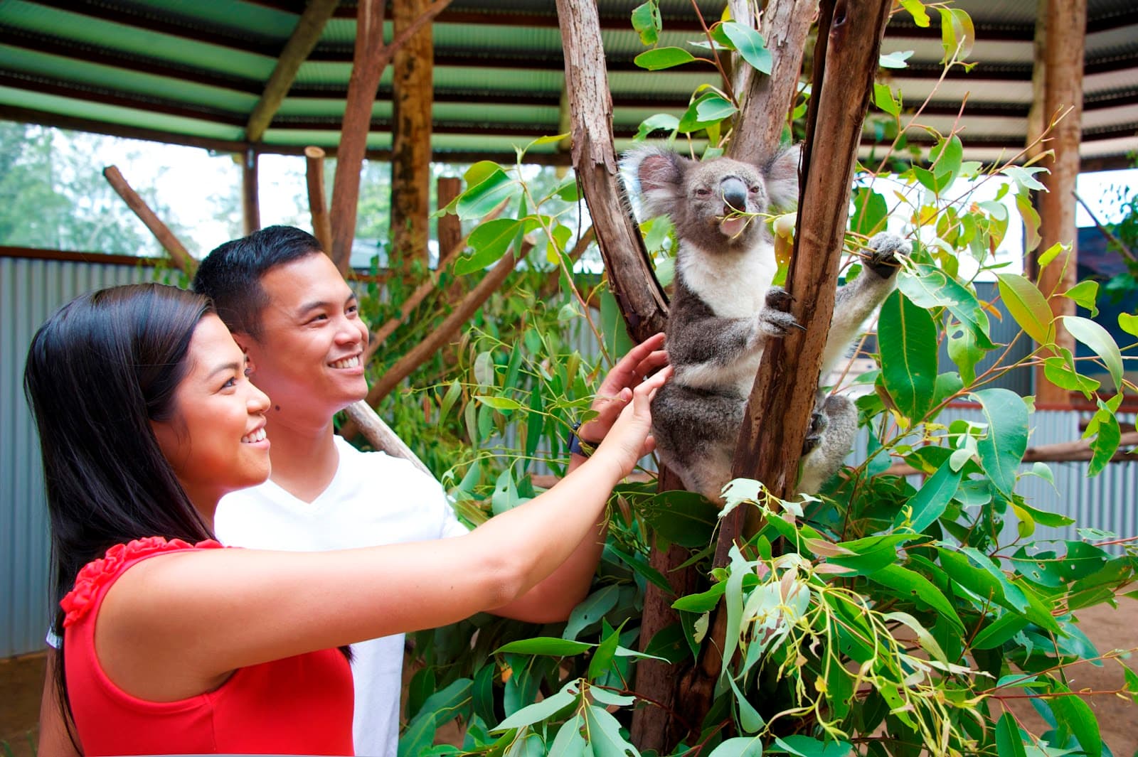 Oakvale Wildlife Park — Nelson Bay, Newcastle