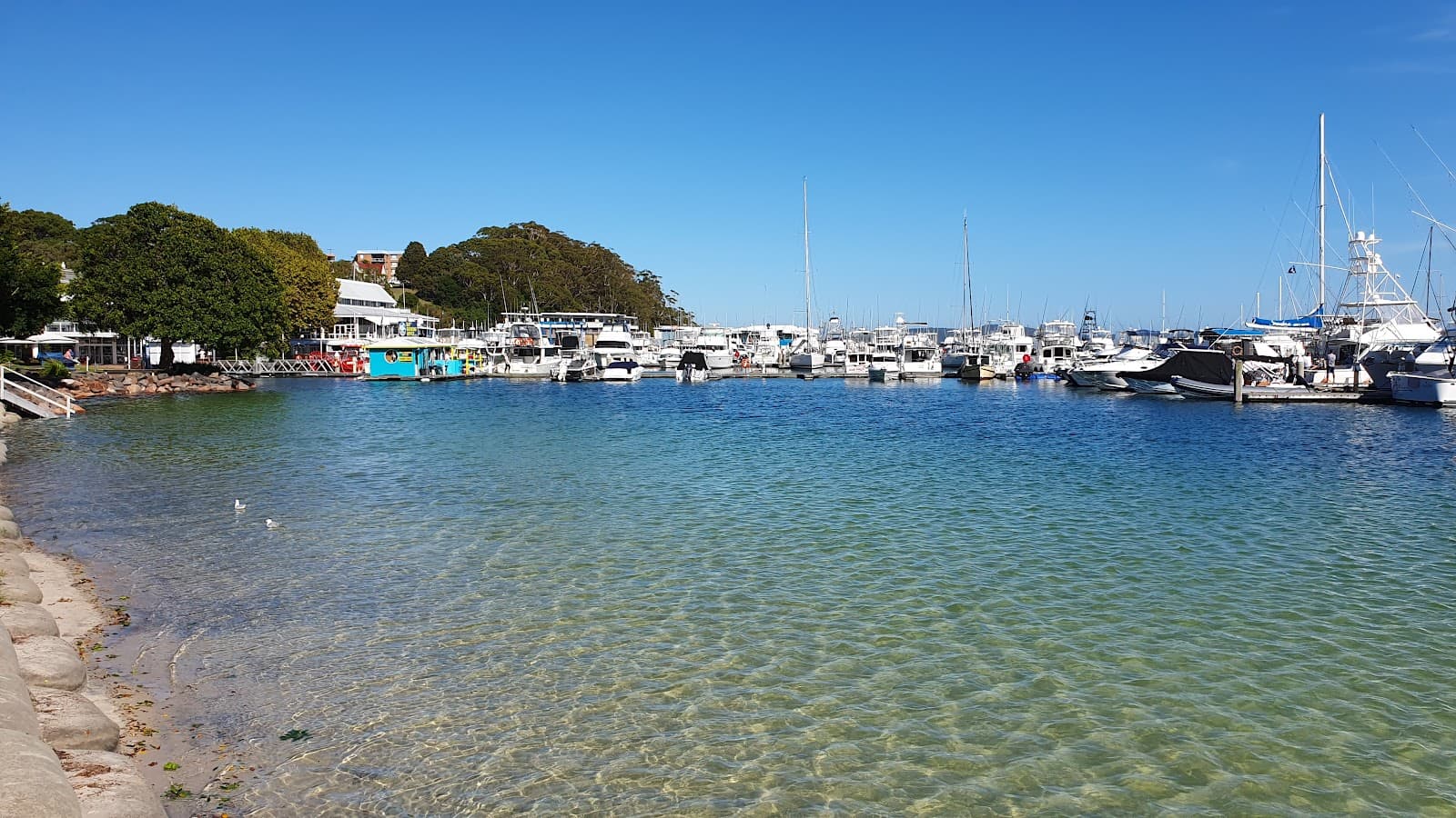 Nelson Bay Playground — Nelson Bay, Newcastle