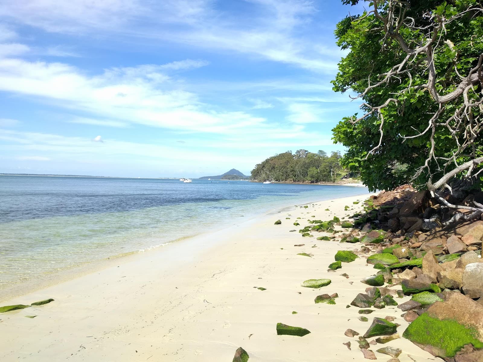 Dutchmans Beach Reserve — Nelson Bay, Newcastle