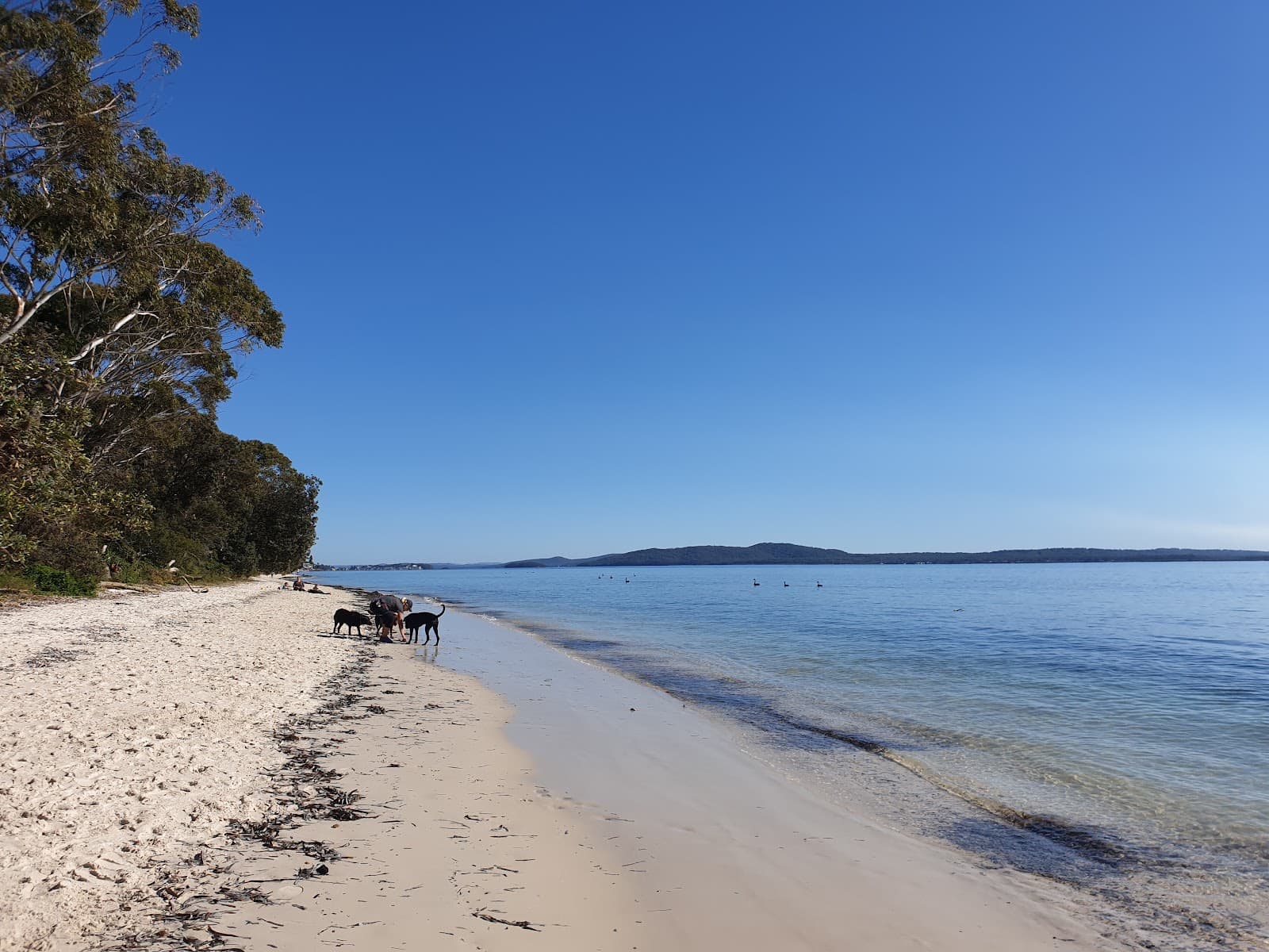 Bagnall Beach — Nelson Bay, Newcastle