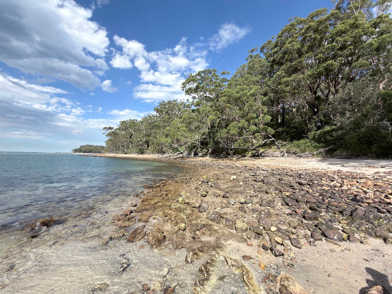 Fly Point Aquatic Reserve — Nelson Bay, Newcastle