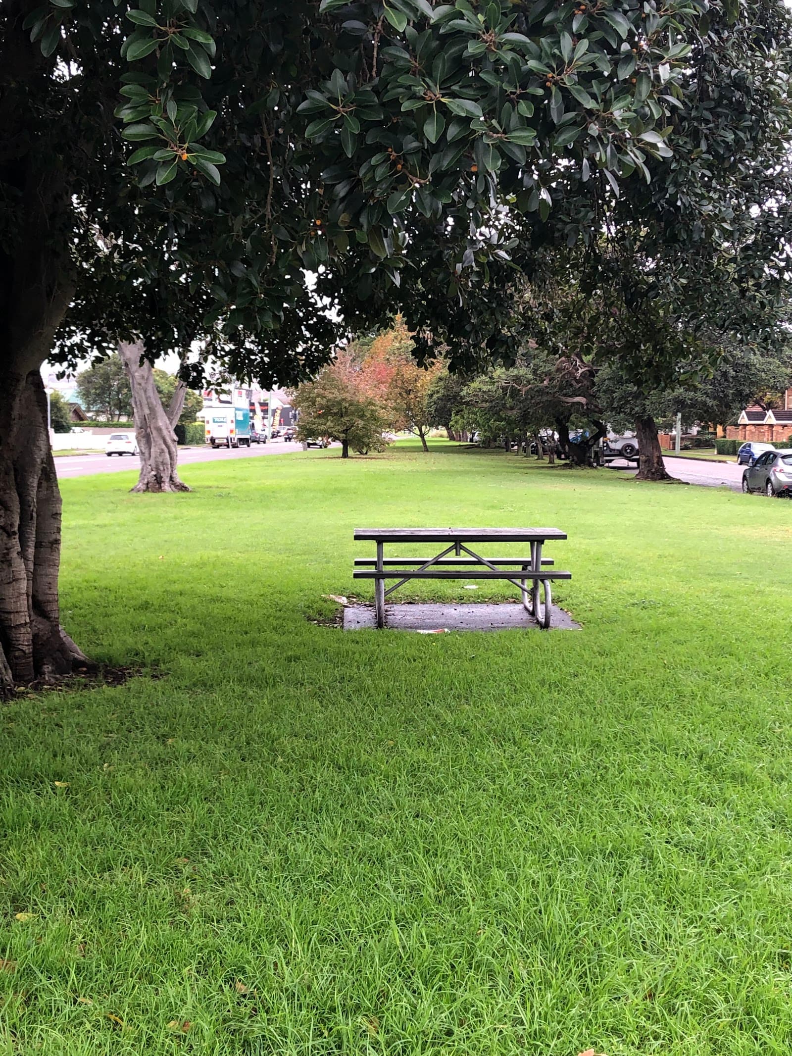 Rowlands Park — The Junction, Newcastle