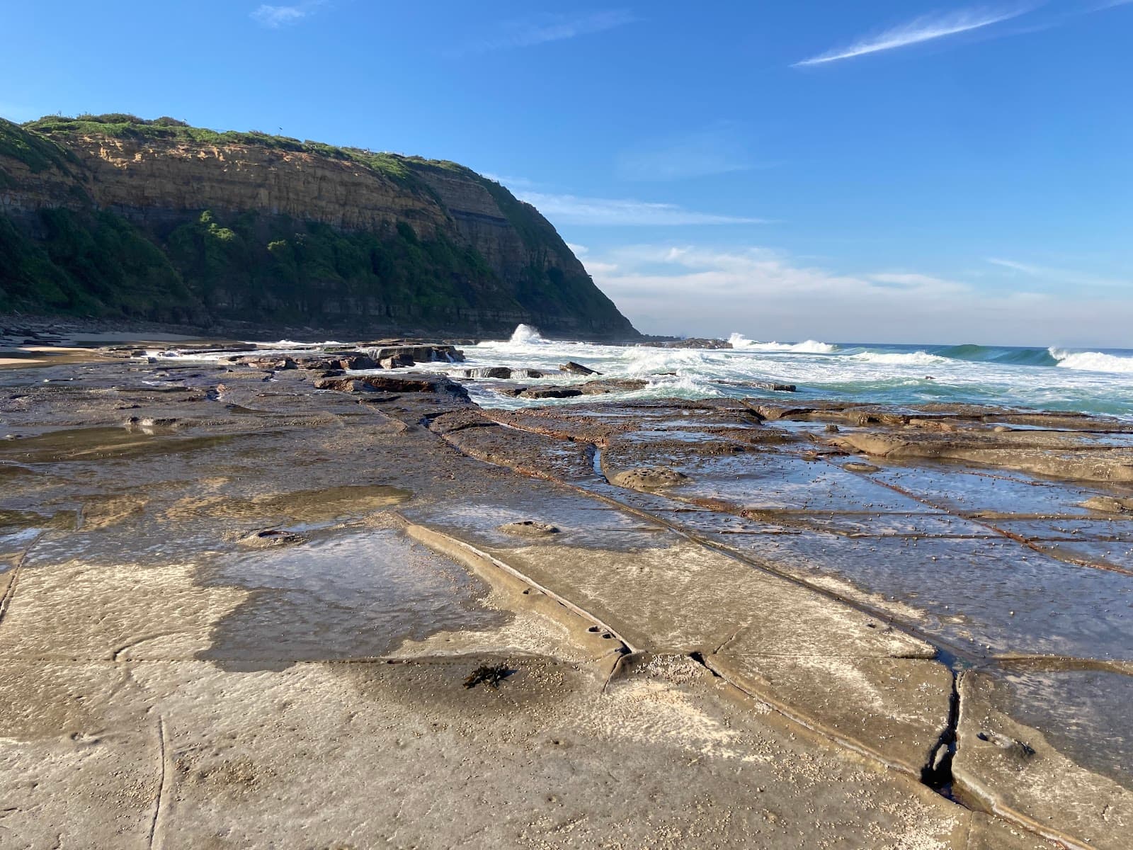 Susan Gilmore Beach — Honeysuckle, Newcastle