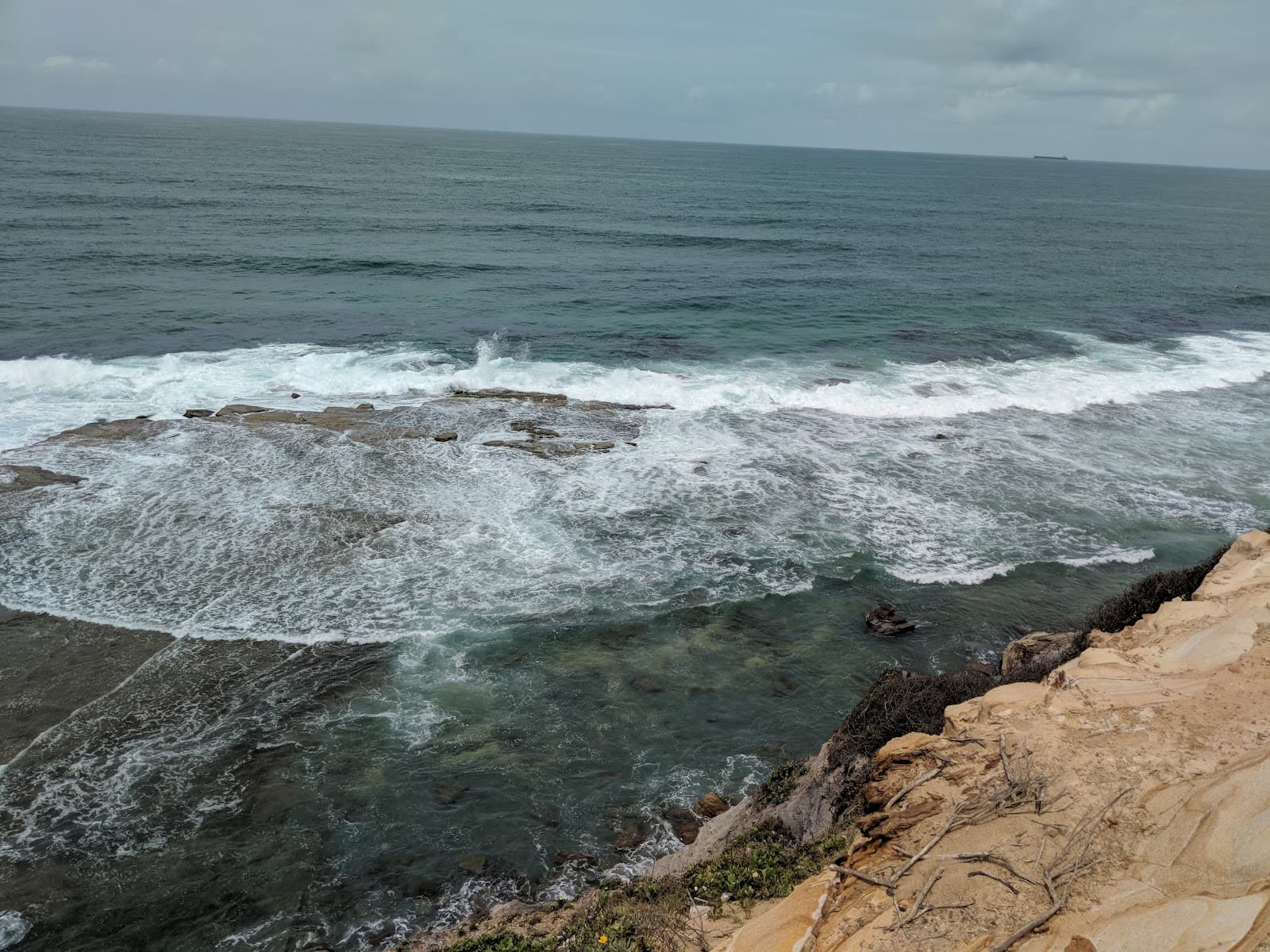 Susan Gilmore Beach — Honeysuckle, Newcastle