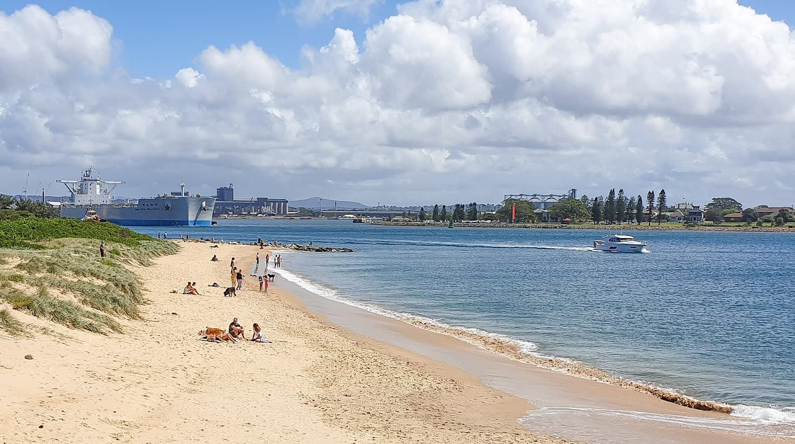 Horseshoe Beach — Newcastle