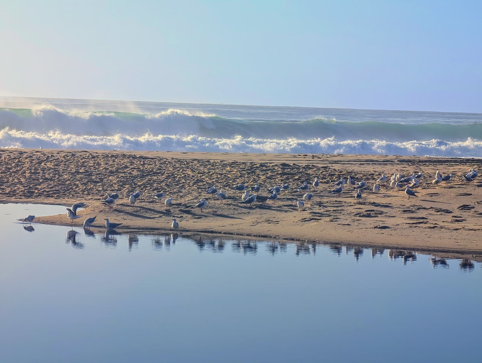Glenrock Beach — Merewether, Newcastle