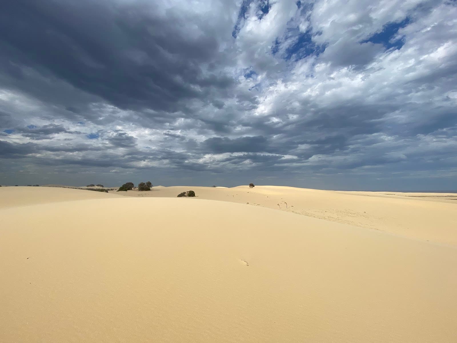 Stockton Sand Dunes — Stockton, Newcastle