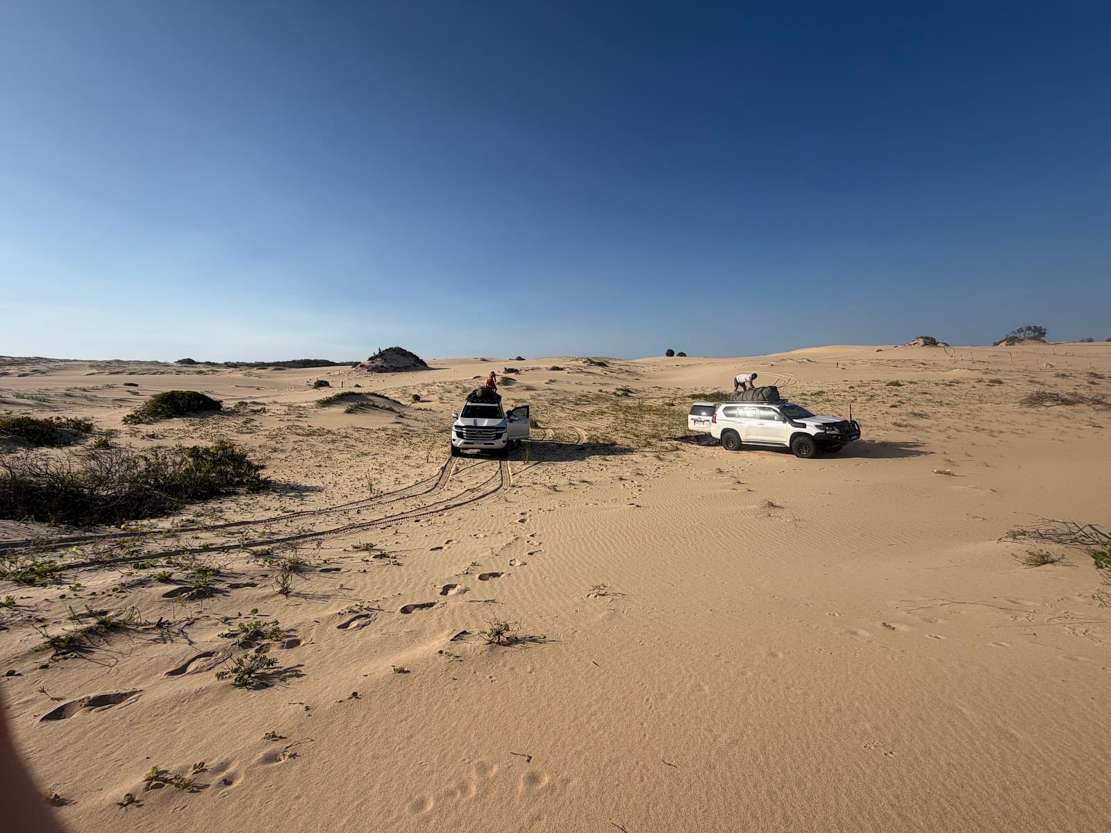 Stockton Sand Dunes — Stockton, Newcastle
