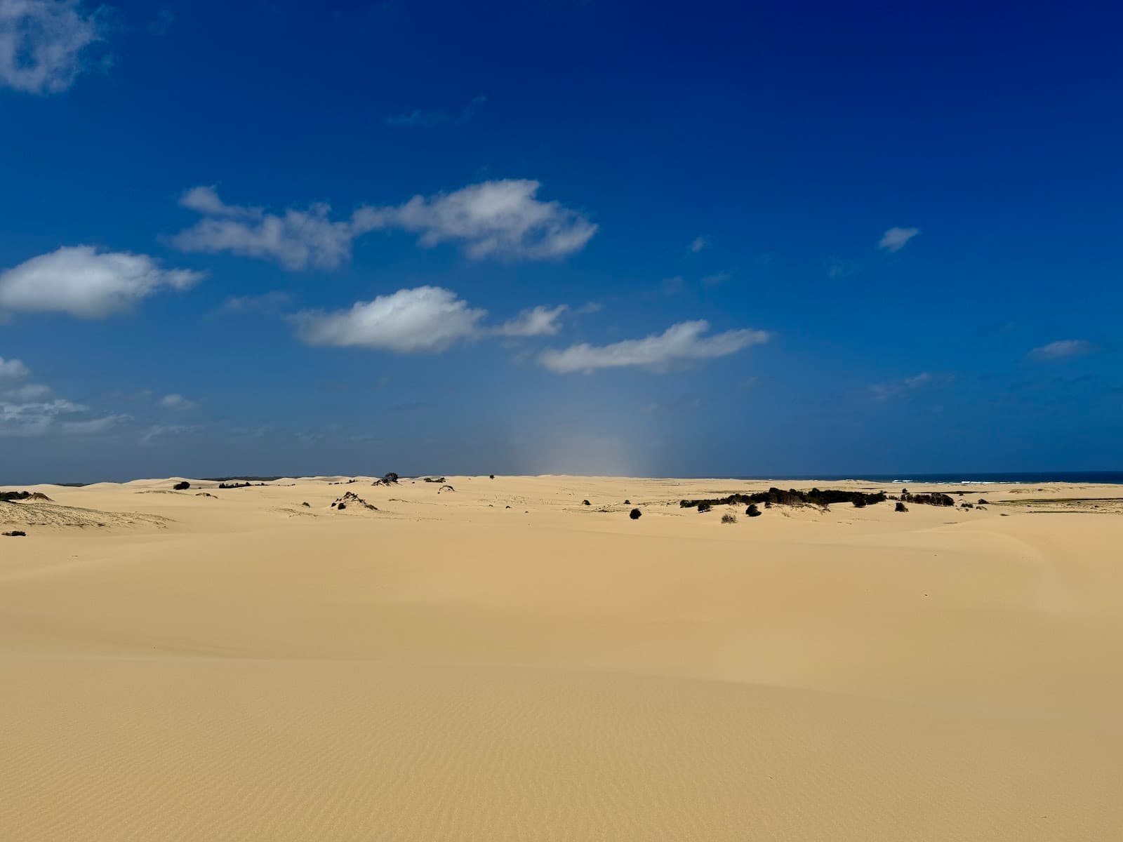 Stockton Sand Dunes — Stockton, Newcastle