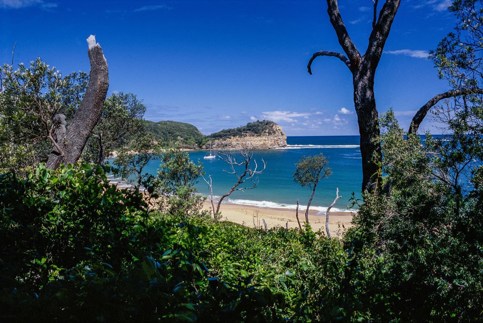 Maitland Bay Beach, Bouddi National Park NSW — Maitland, Newcastle