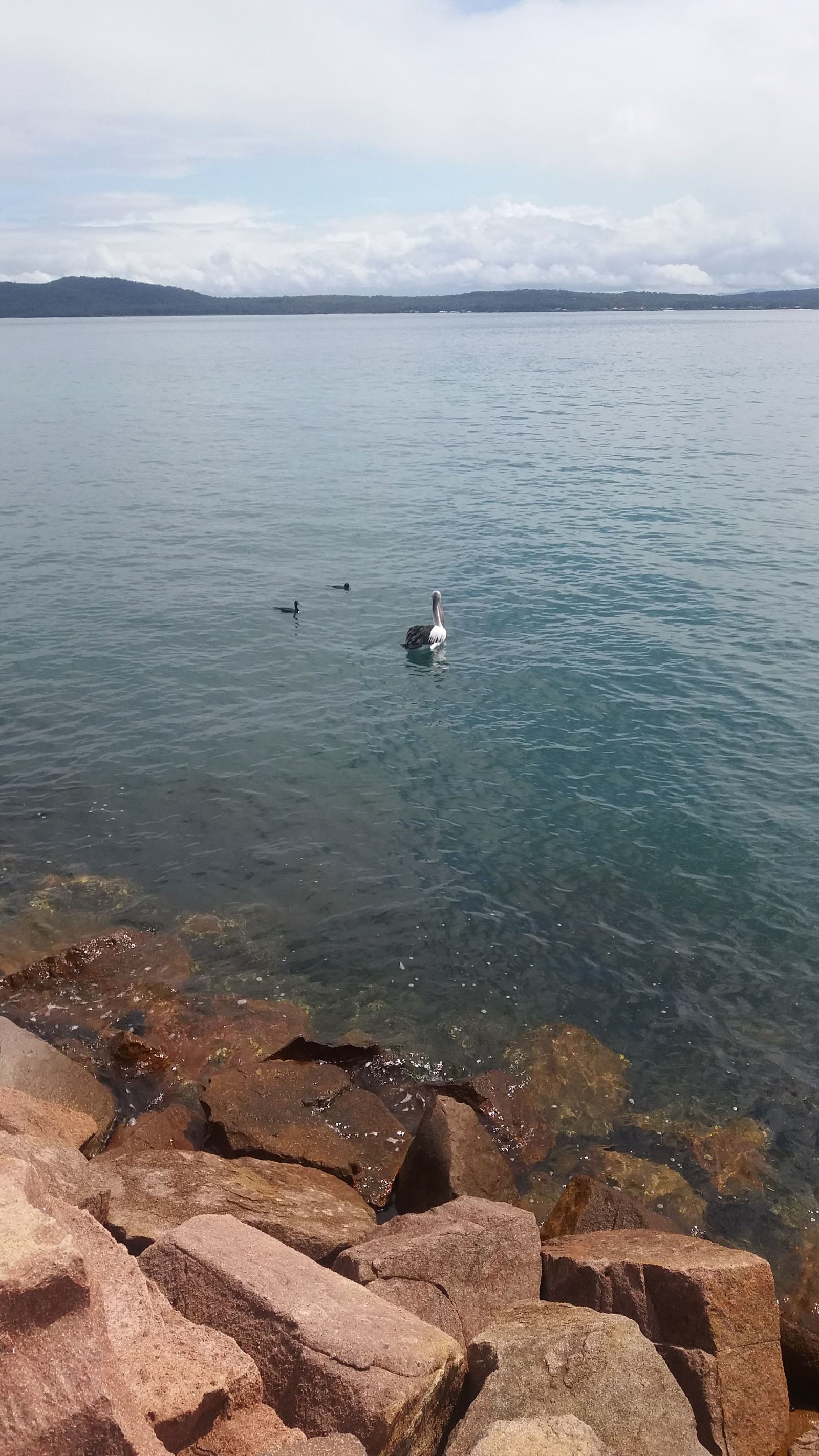 Corlette Beach — Port Stephens, Newcastle
