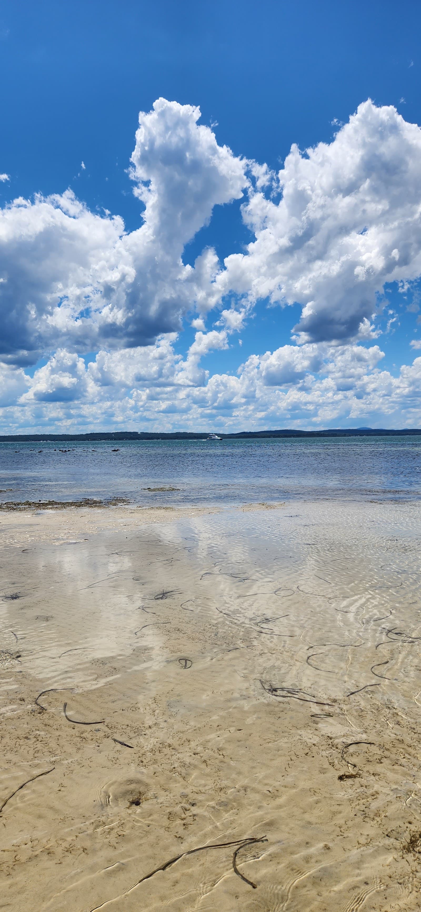 Bagnalls Beach — Nelson Bay, Newcastle