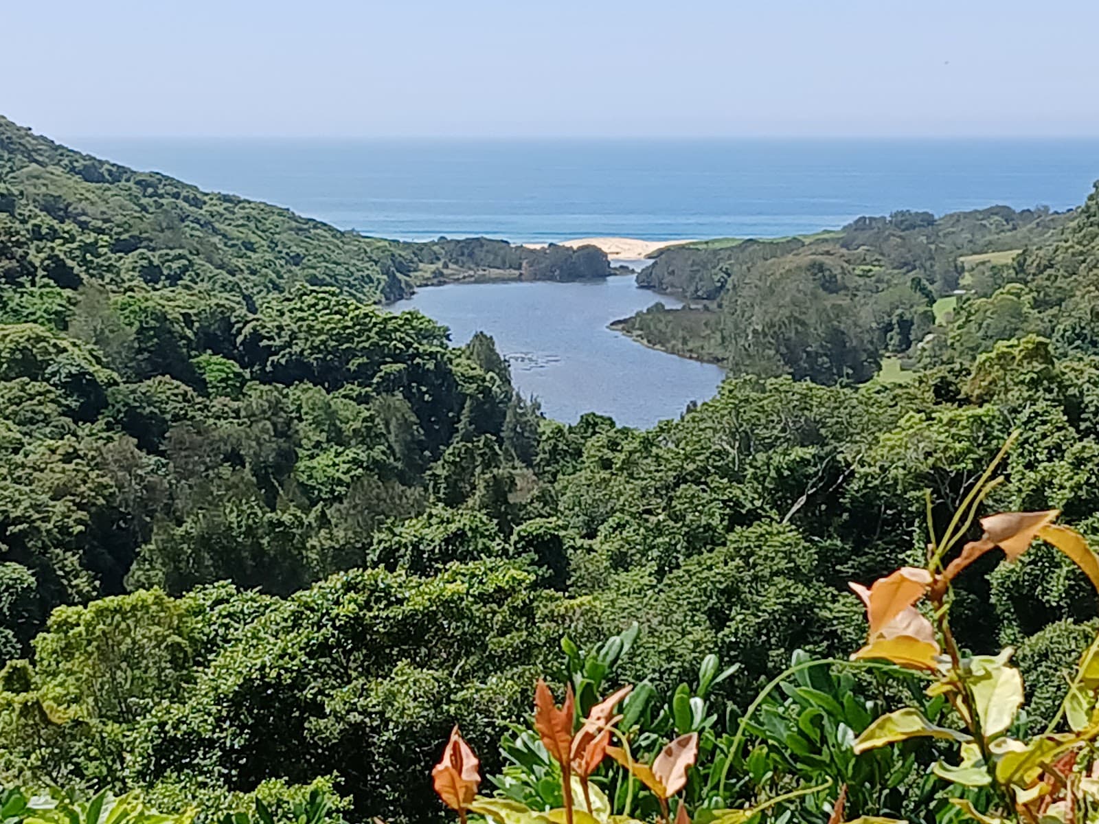 Yuelarbah walking track — The Junction, Newcastle
