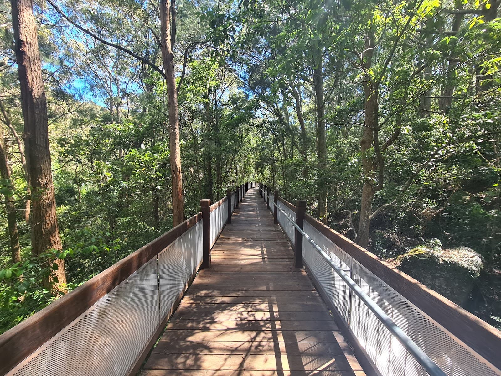Yuelarbah walking track — The Junction, Newcastle