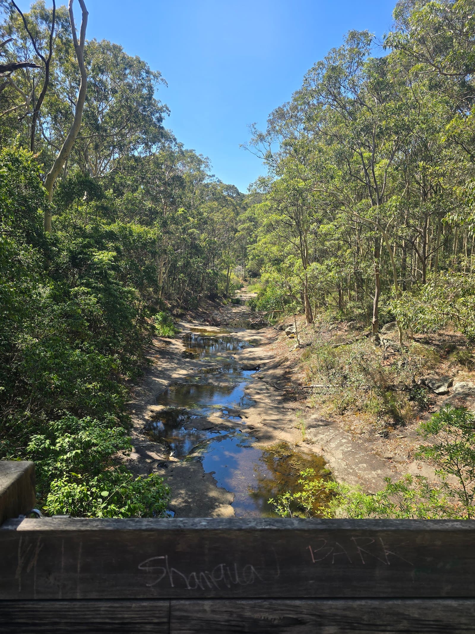 Yuelarbah walking track — The Junction, Newcastle