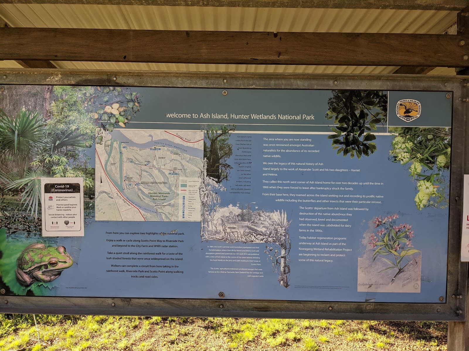Rainforest walk to Riverside Park — Kooragang, Newcastle