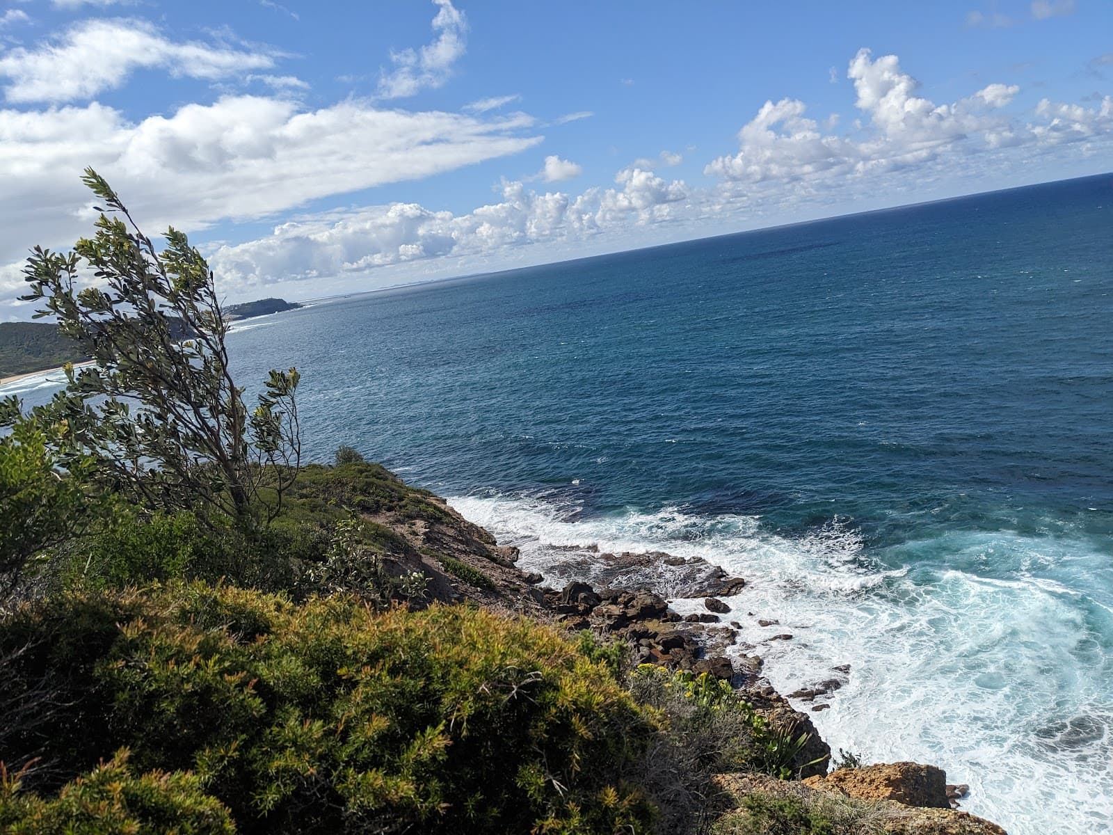 Leggy Point loop walking track — Newcastle East, Newcastle