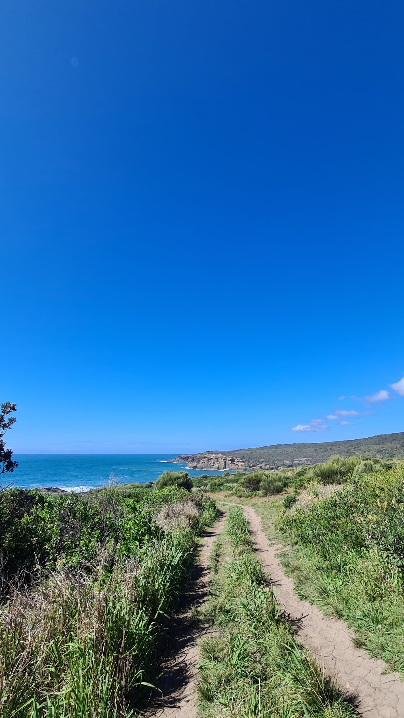 Coastal walking track — The Junction, Newcastle