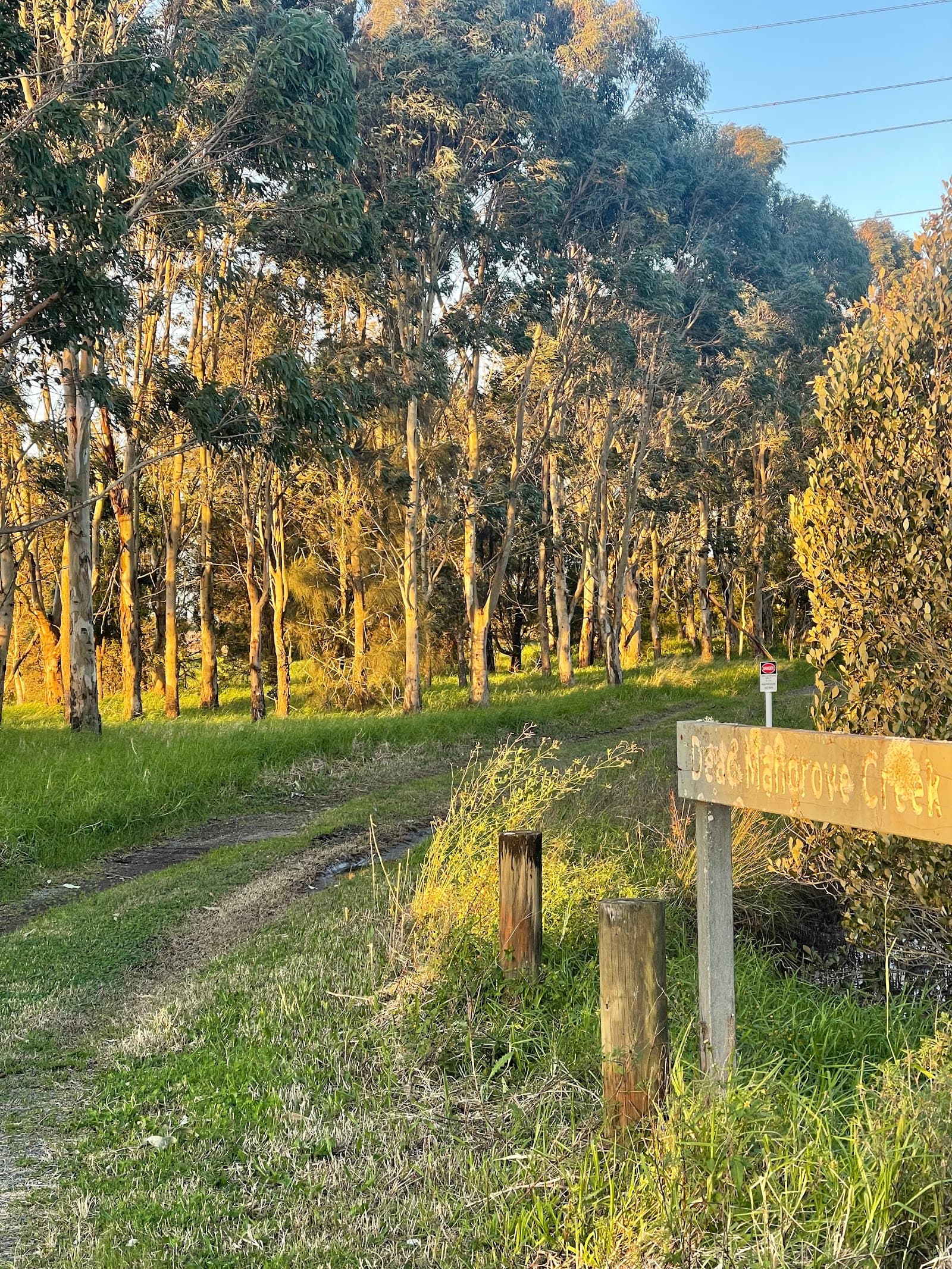 The Welcome walk — Kooragang, Newcastle