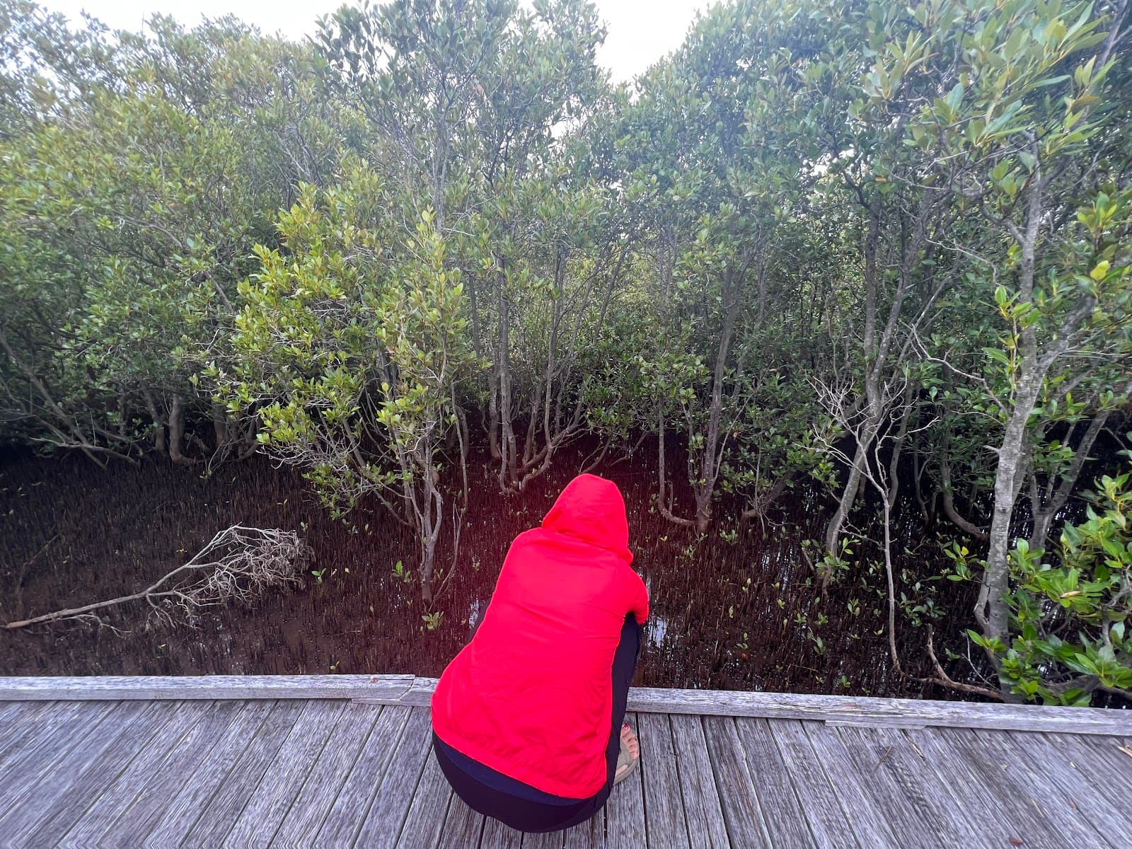 The Welcome walk — Kooragang, Newcastle