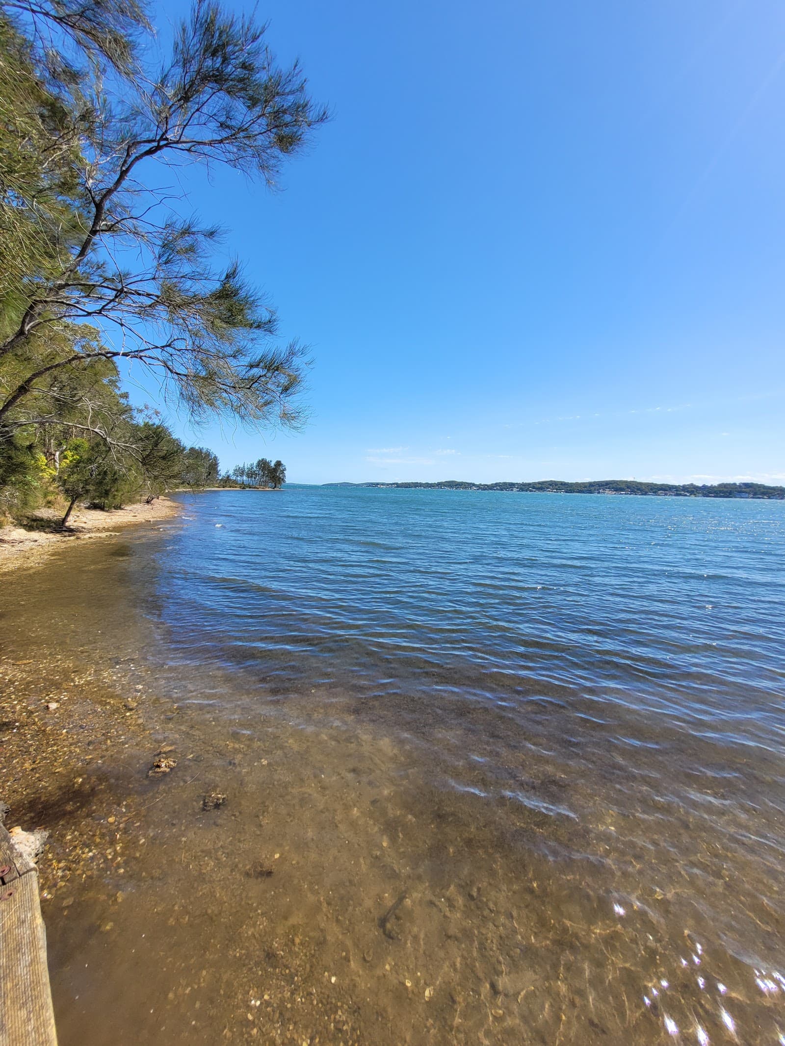 Green Point Foreshore Reserve — Maitland, Newcastle