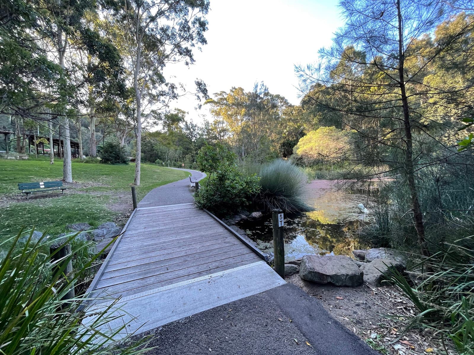 Richley Reserve — The Junction, Newcastle