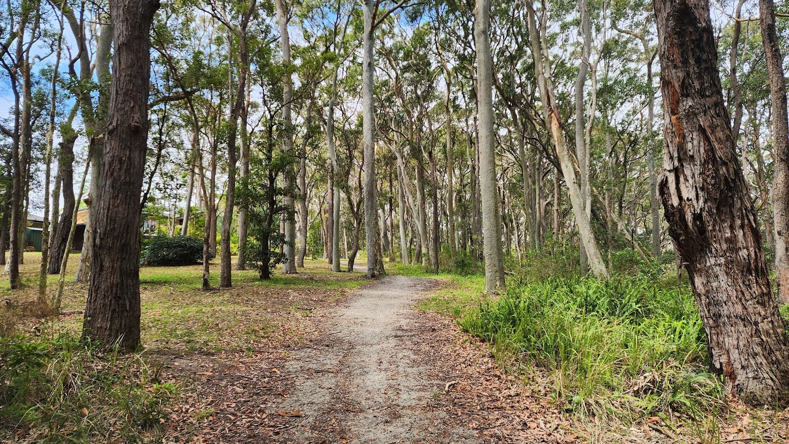Belmont Wetlands State Park — Newcastle East, Newcastle