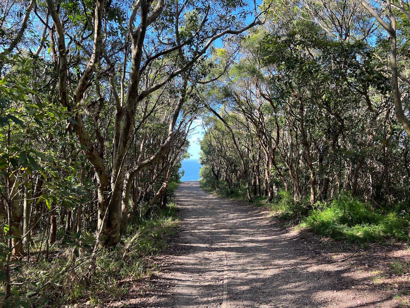 Hickson Street Lookout — Honeysuckle, Newcastle