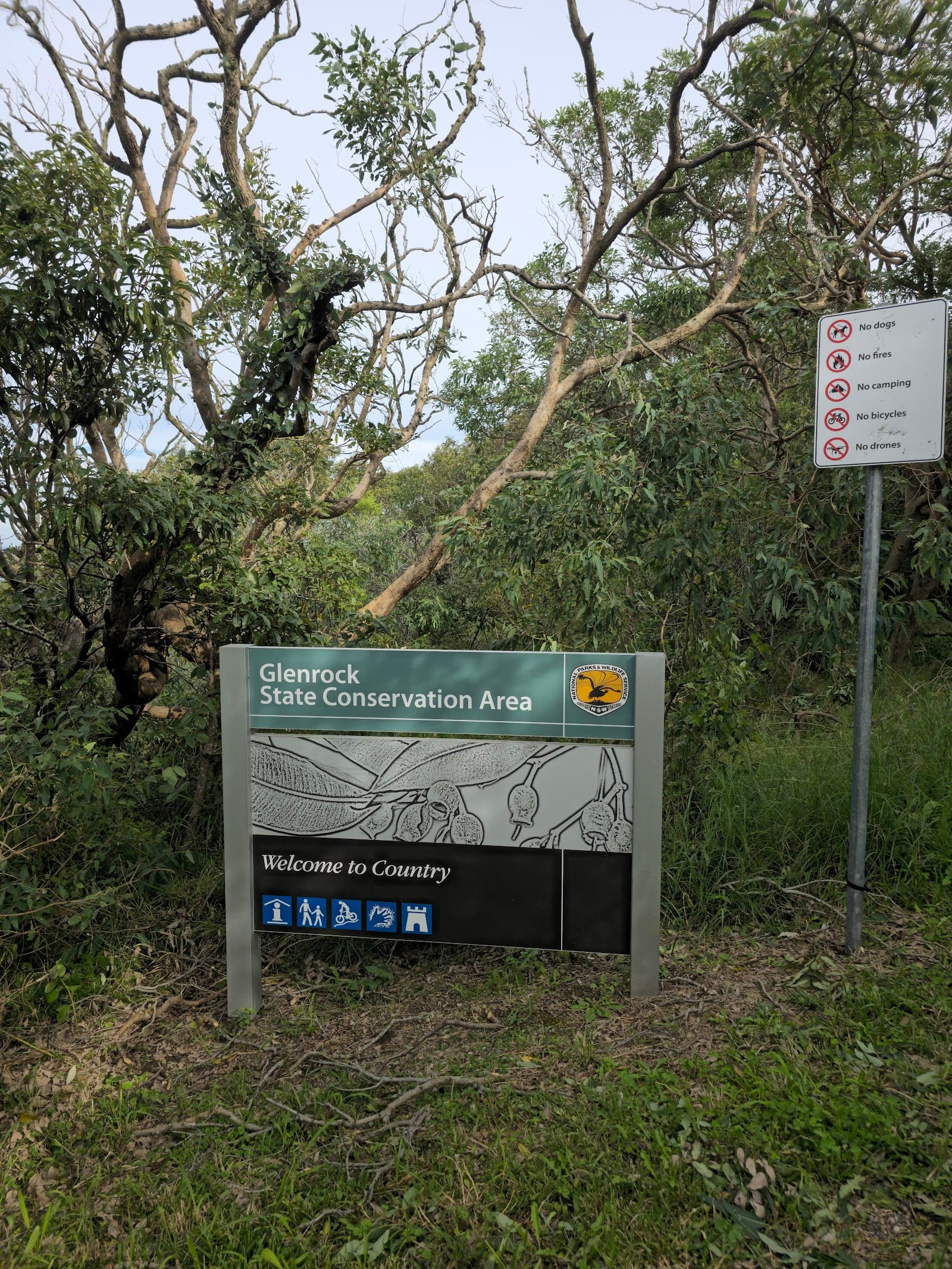 Hickson Street Lookout — Honeysuckle, Newcastle