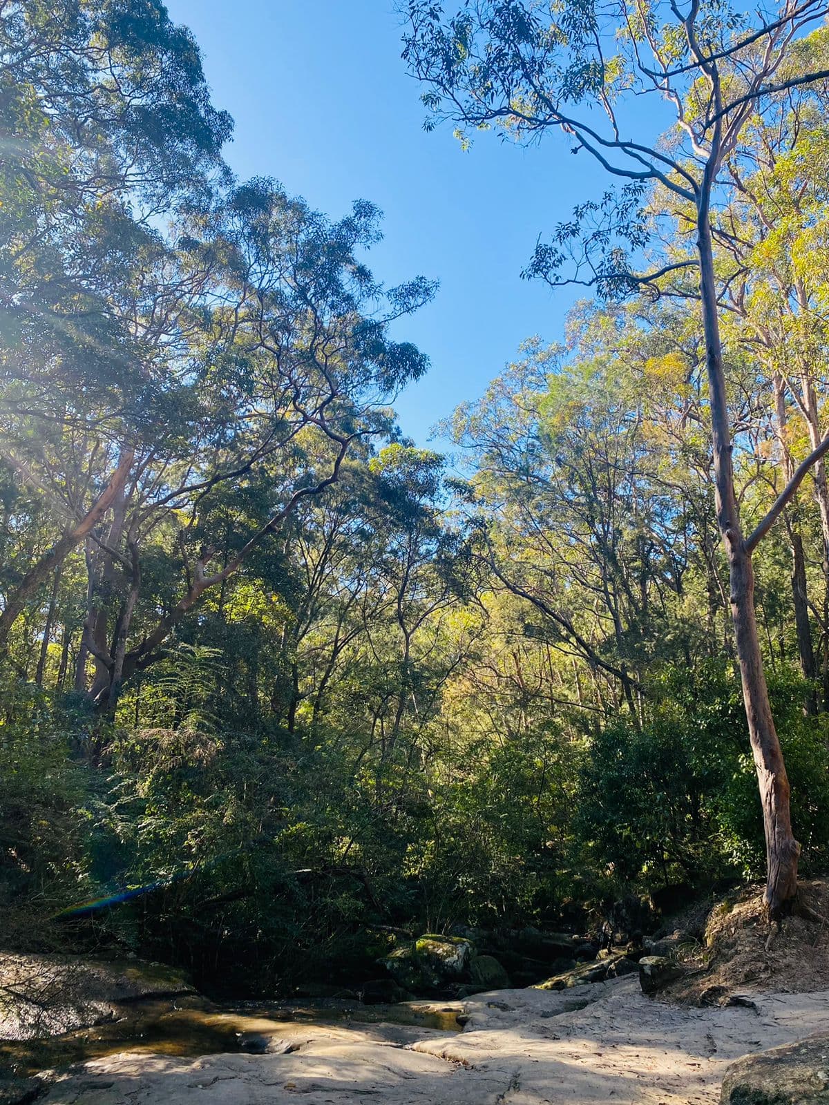 Glenrock Mountain Bike Trails — The Junction, Newcastle
