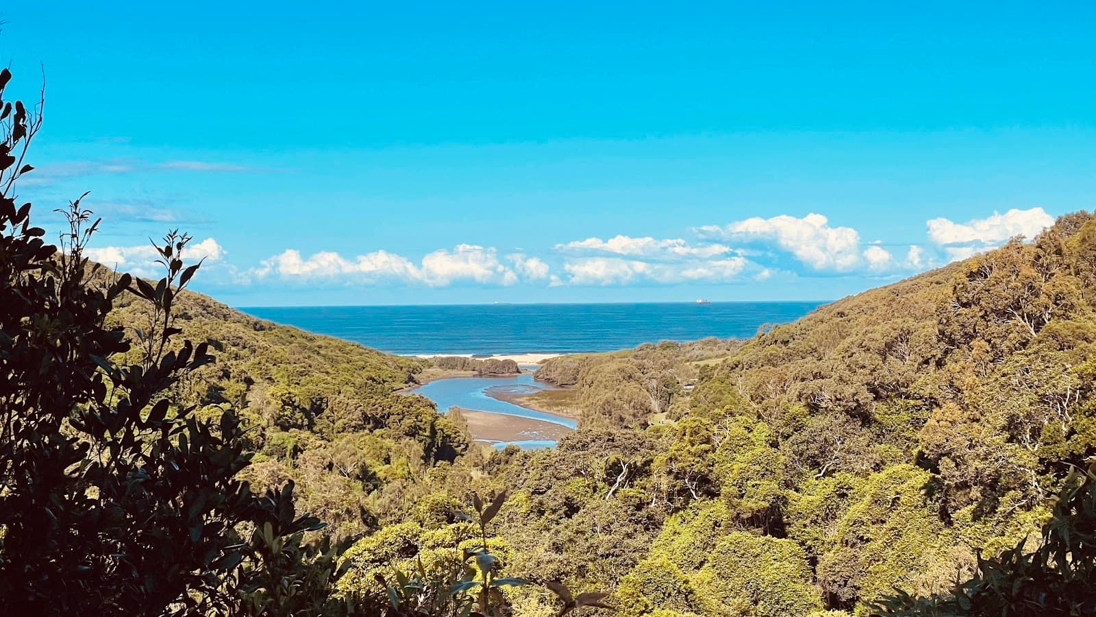 Glenrock Mountain Bike Trails — The Junction, Newcastle