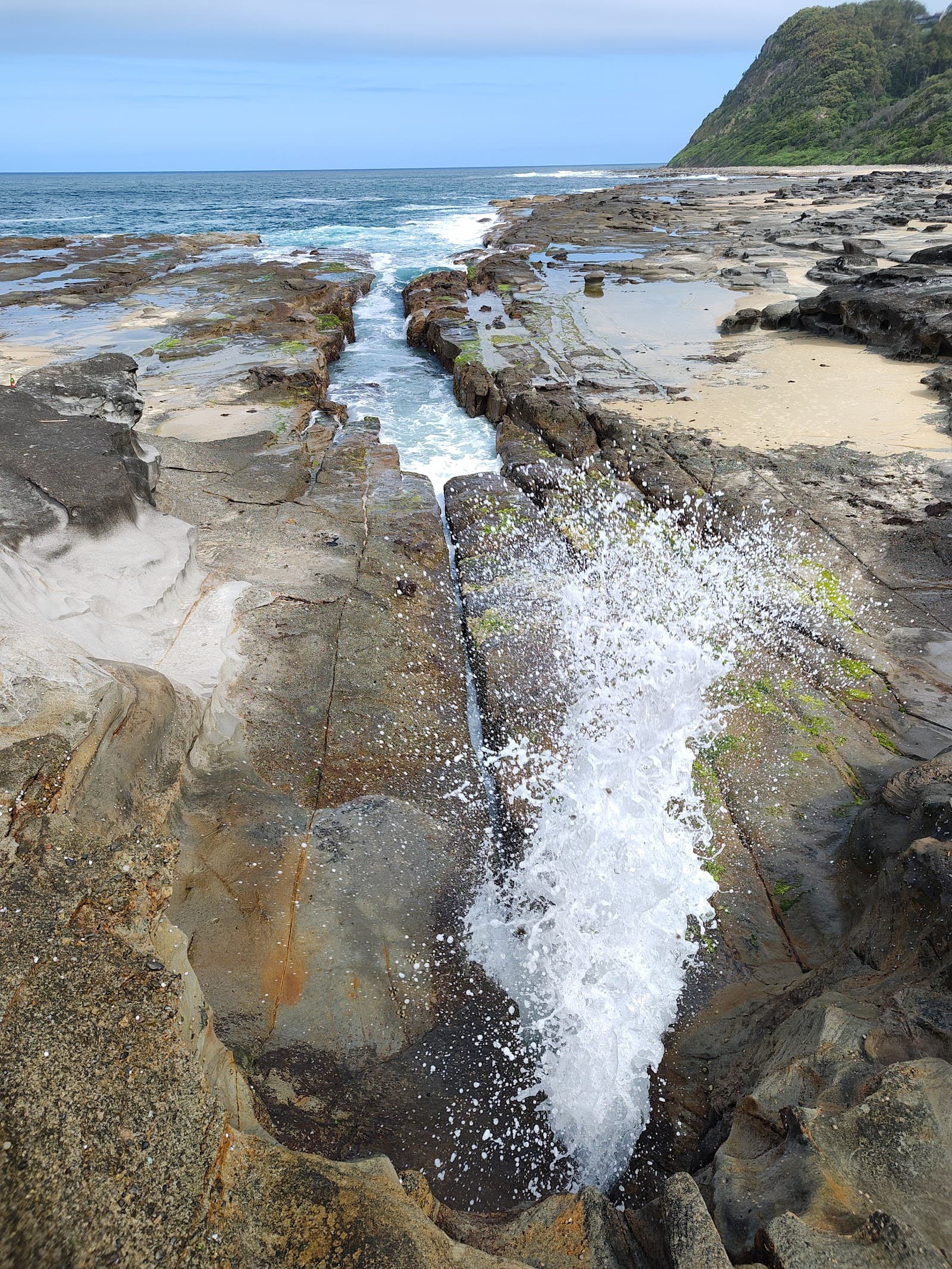 Bombala Walking Track — Merewether, Newcastle