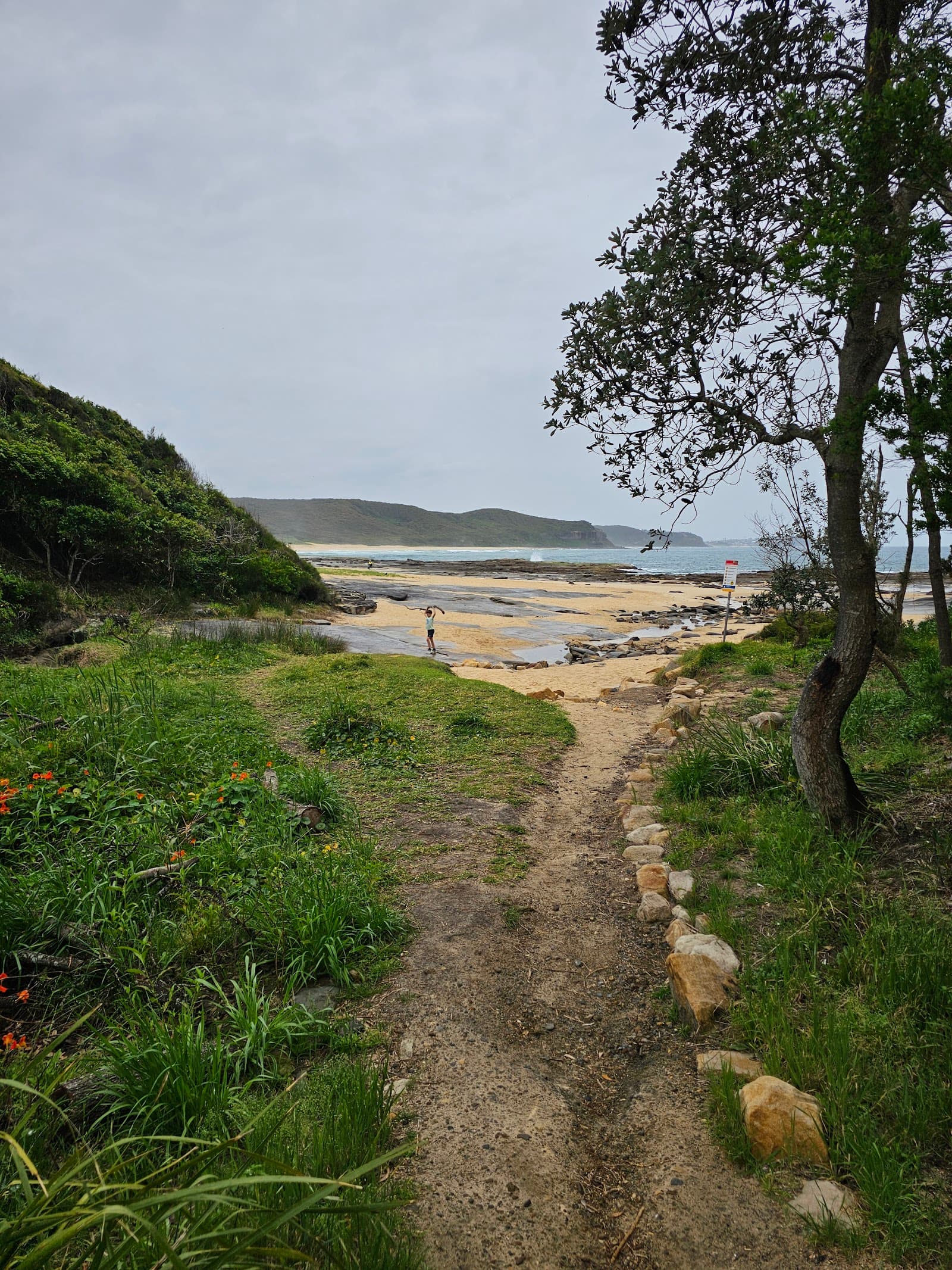 Bombala Walking Track — Merewether, Newcastle