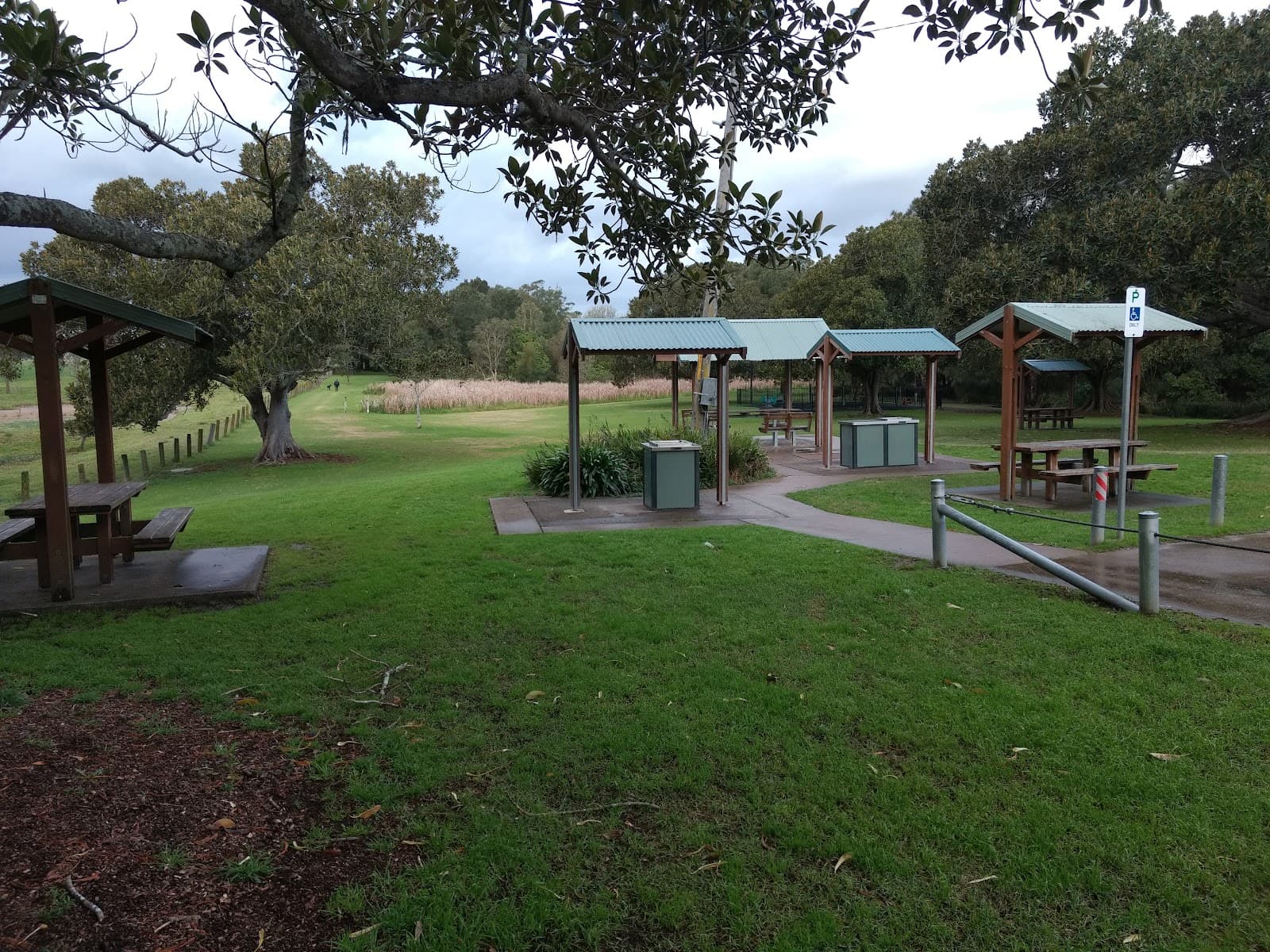 Ray Lawler Reserve, Morpeth Common — Maitland, Newcastle
