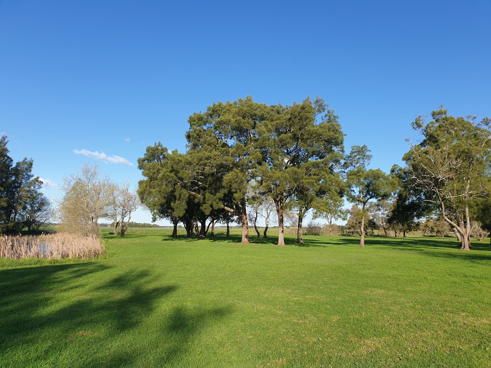 Ray Lawler Reserve, Morpeth Common — Maitland, Newcastle