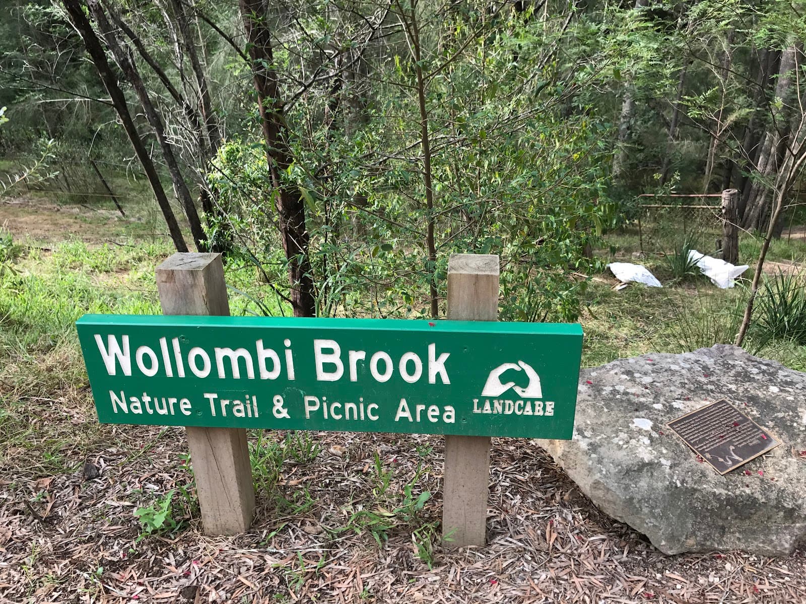 Wollombi Brook nature trail — Pokolbin, Newcastle