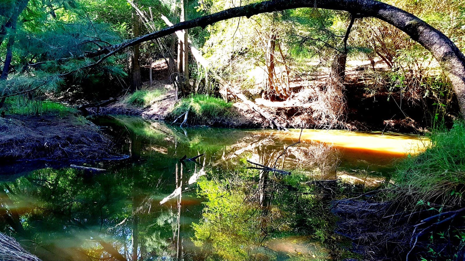 Wollombi Brook nature trail — Wollombi, Newcastle