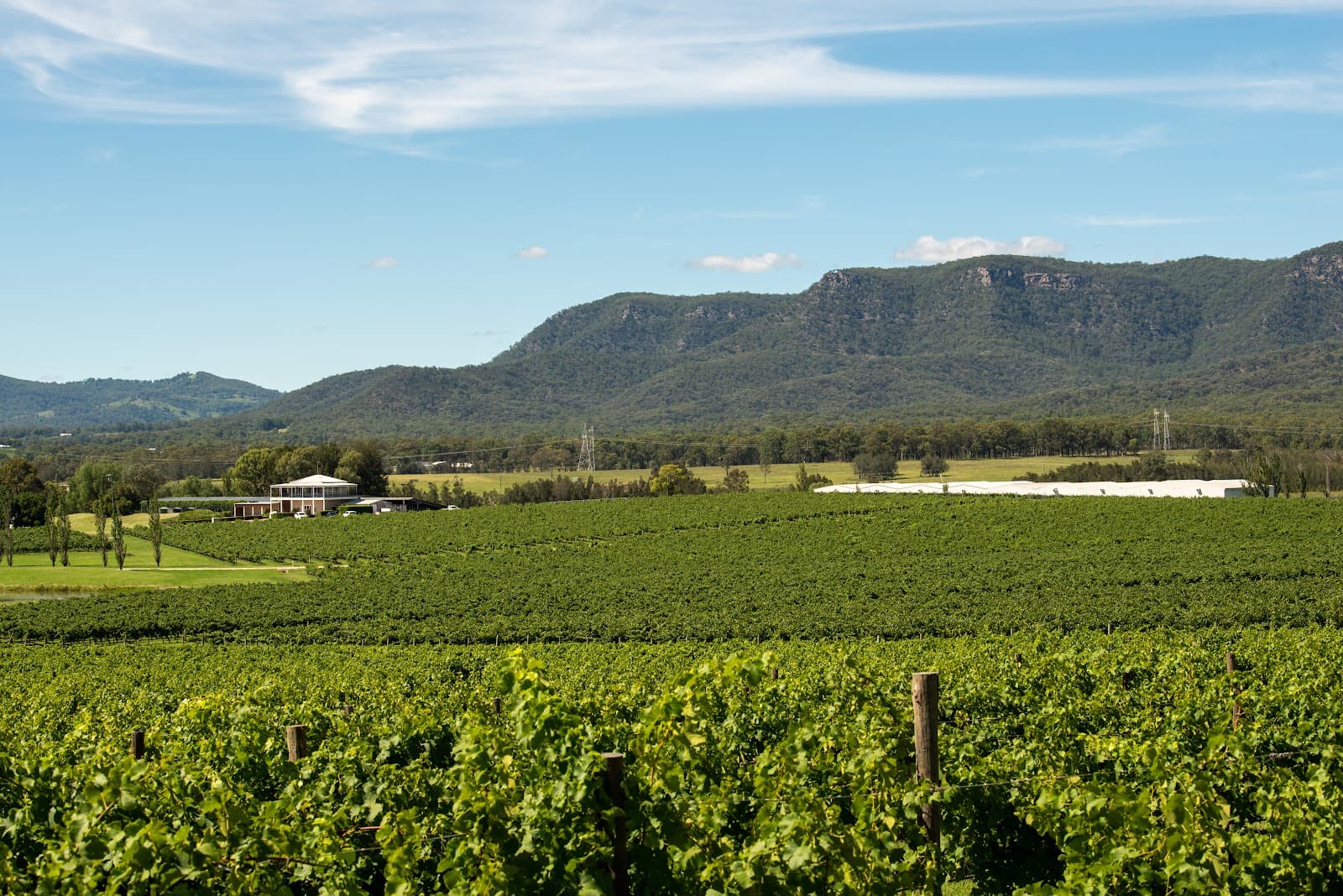 Around Hermitage WINE & FOOD TRAIL Hunter Valley — Pokolbin, Newcastle