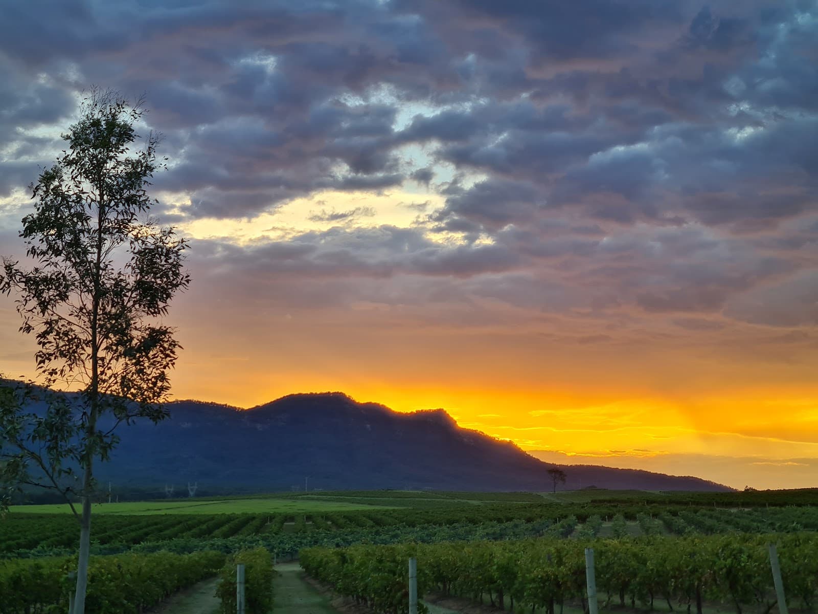 Around Hermitage WINE & FOOD TRAIL Hunter Valley — Pokolbin, Newcastle