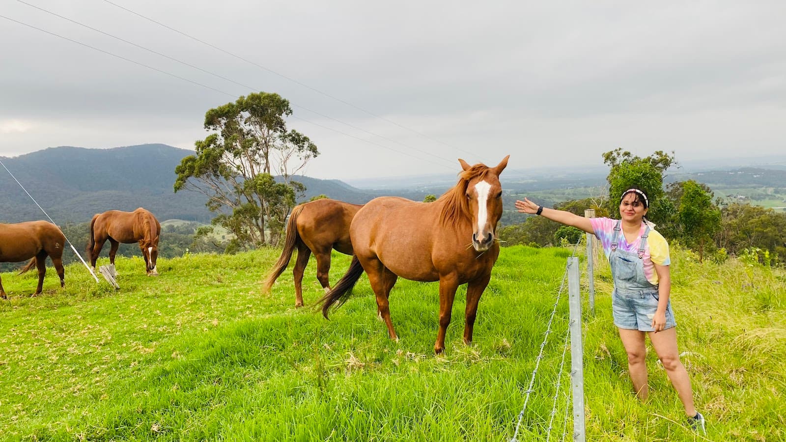 Mount Bright Lookout — Pokolbin, Newcastle