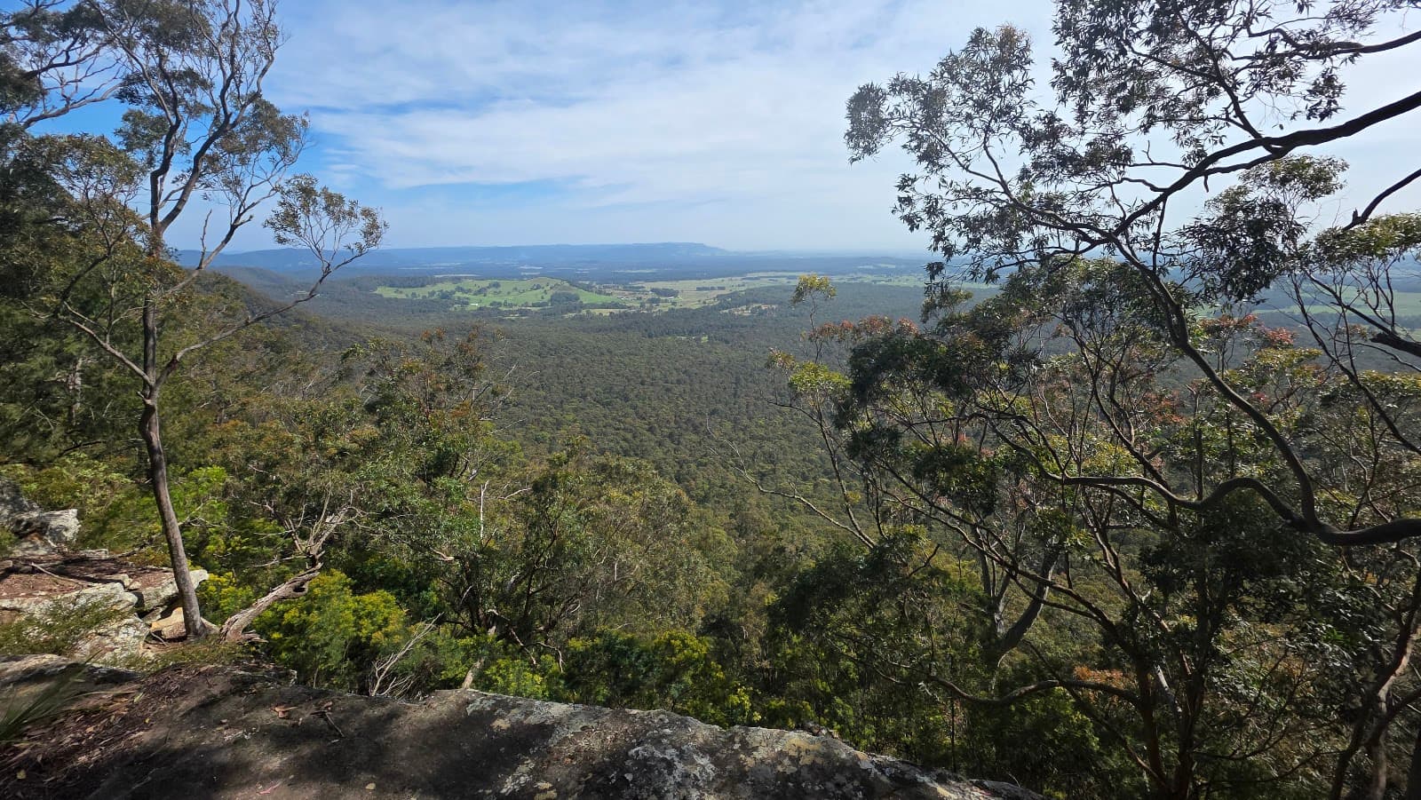Watagans National Park — Pokolbin, Newcastle