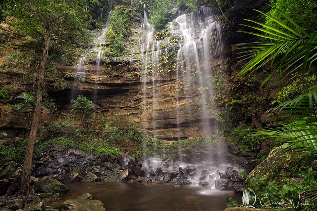 Watagans National Park — Pokolbin, Newcastle