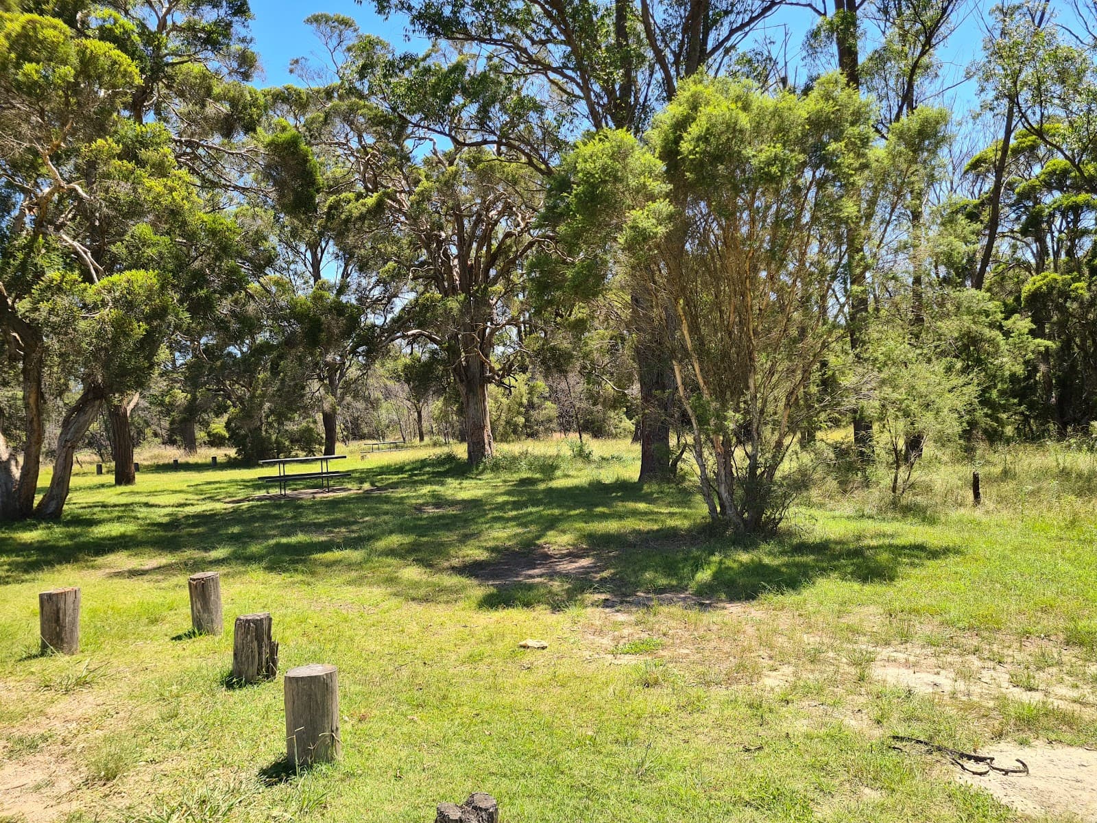 Astills picnic area — Pokolbin, Newcastle