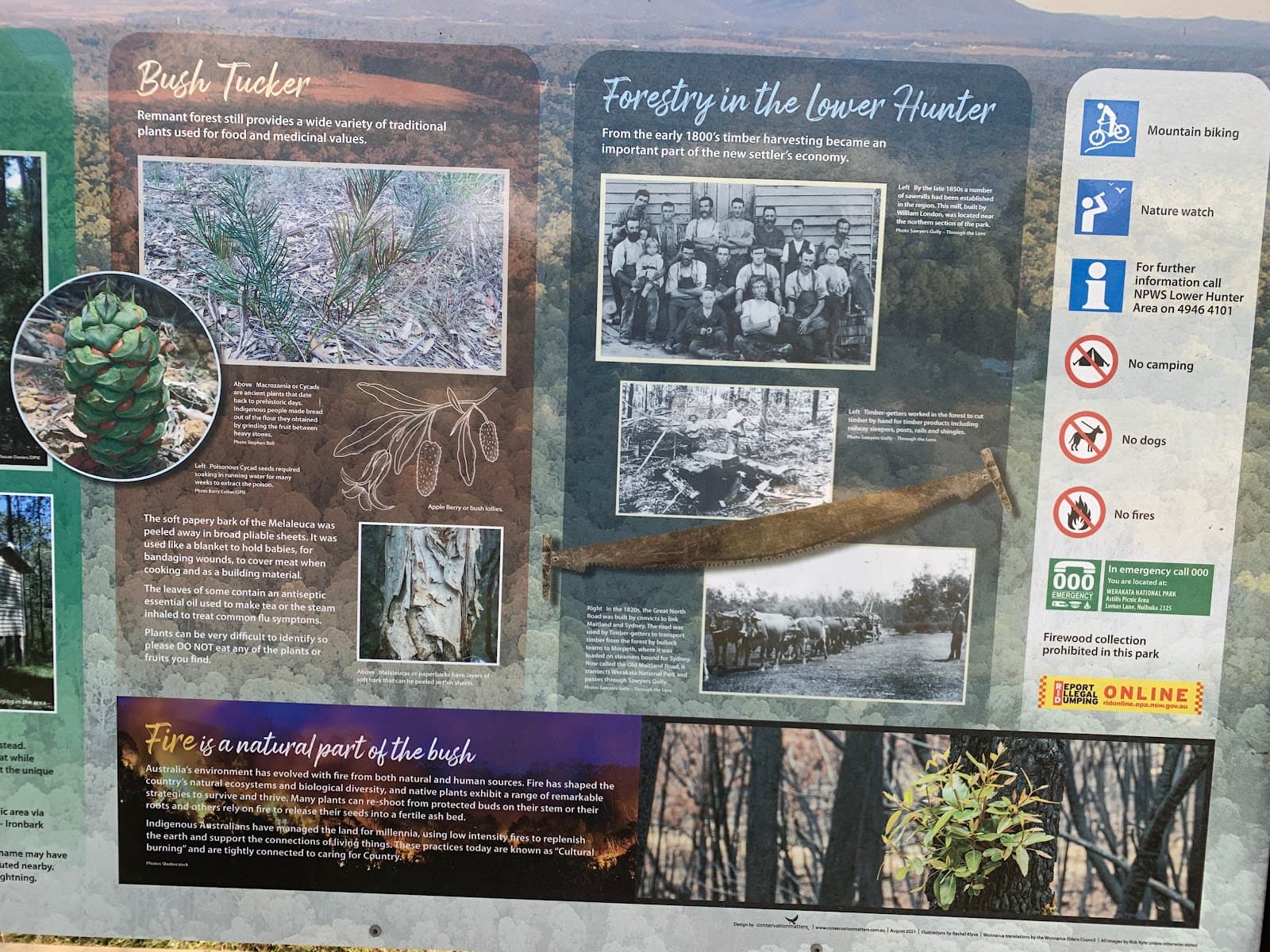 Astills picnic area — Pokolbin, Newcastle